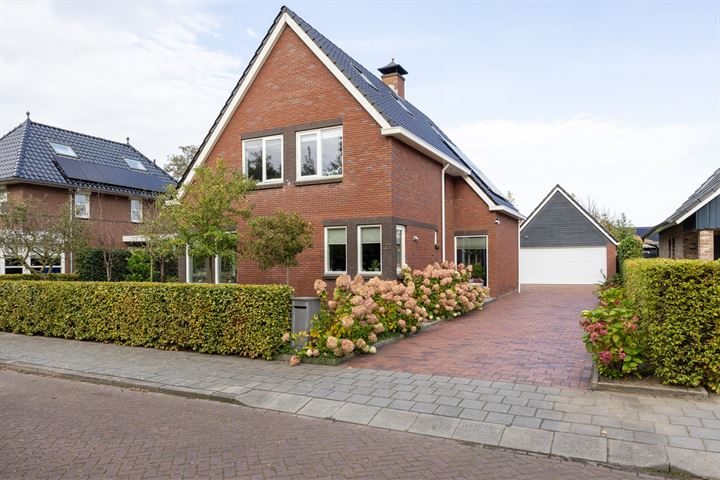 View photo 8 of De Koppel Paarden 33