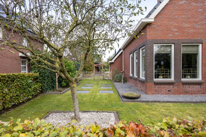 View photo 60 of De Koppel Paarden 33