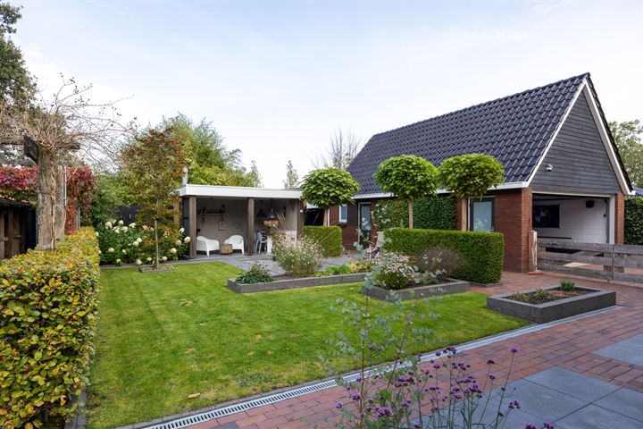 View photo 51 of De Koppel Paarden 33