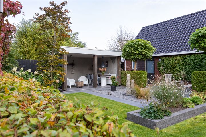 View photo 52 of De Koppel Paarden 33