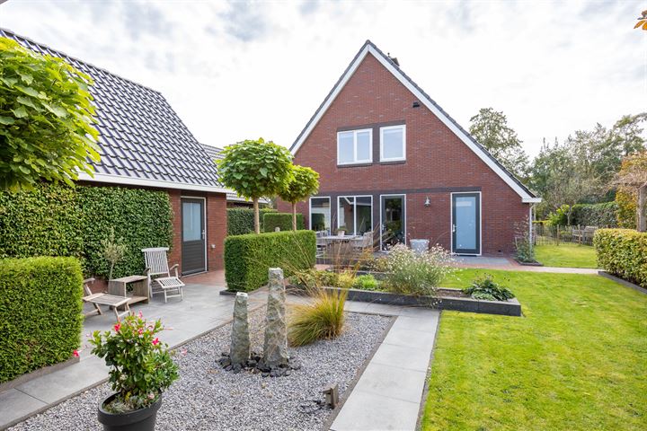 View photo 6 of De Koppel Paarden 33