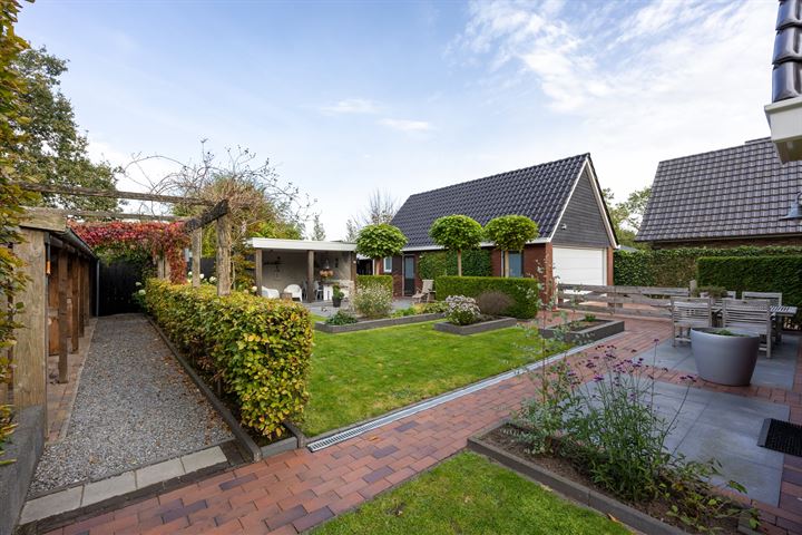 View photo 57 of De Koppel Paarden 33