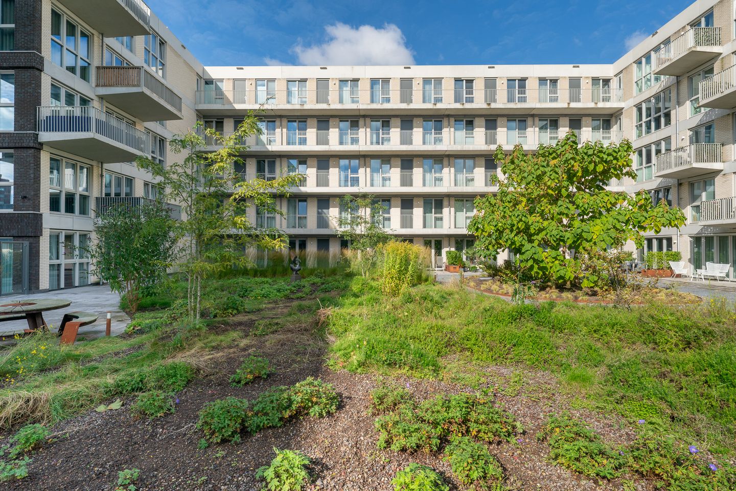 Foto 4 van Lapis Lazuli 8