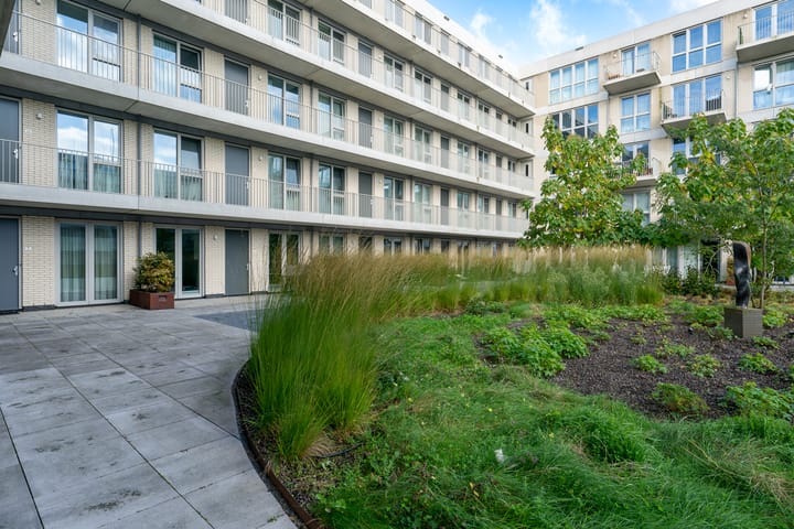 Foto 5 van Lapis Lazuli 8