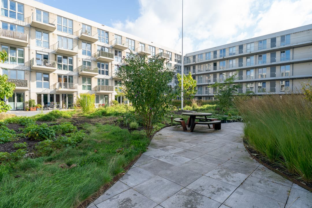 Foto 32 van Lapis Lazuli 8