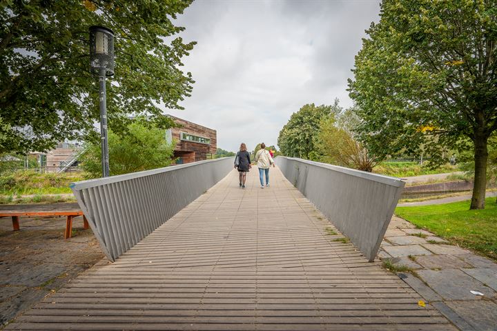 Bekijk foto 35 van Obrechtstraat 39