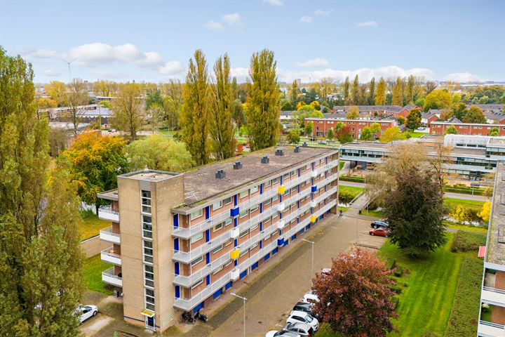 Bekijk foto van Van Borselenstraat 202