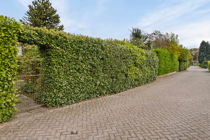 Foto 35 van Klaroenlaan 10