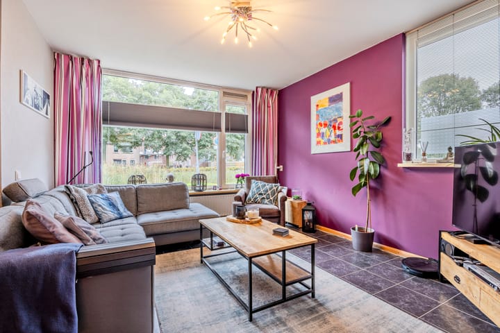 Foto 3 van Minerva 12