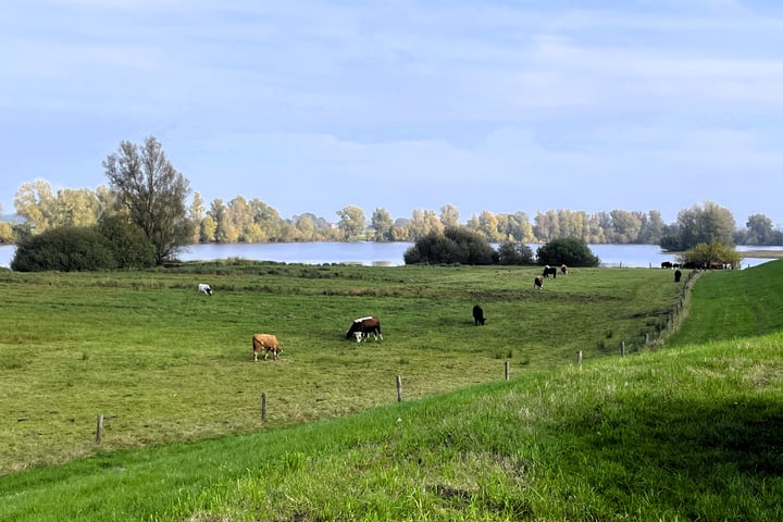 Bekijk foto 26 van Nieuwstad 28