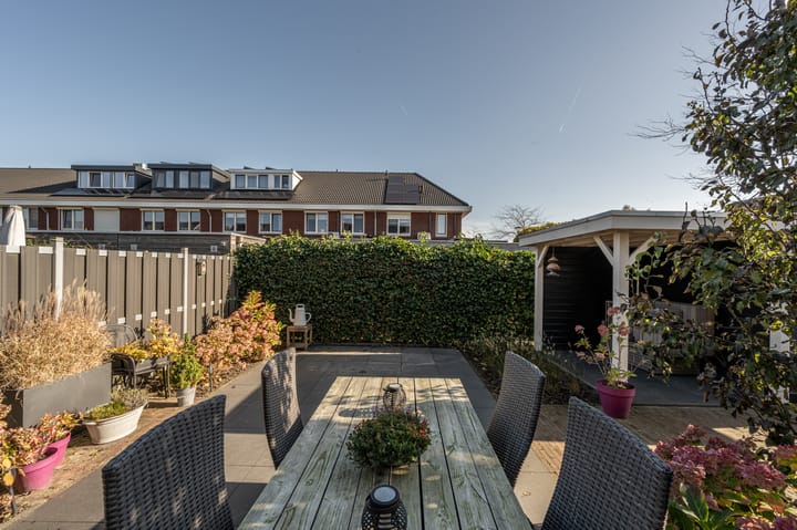 Foto 2 van Fruitdoel 11