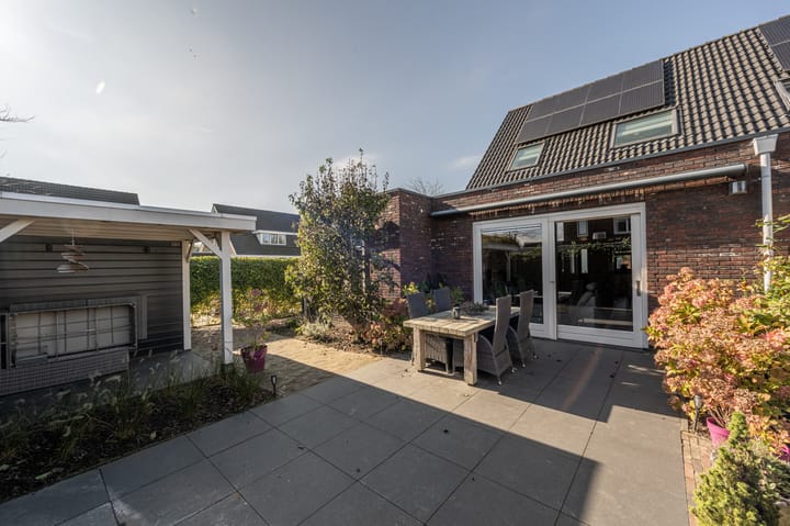 Foto 33 van Fruitdoel 11