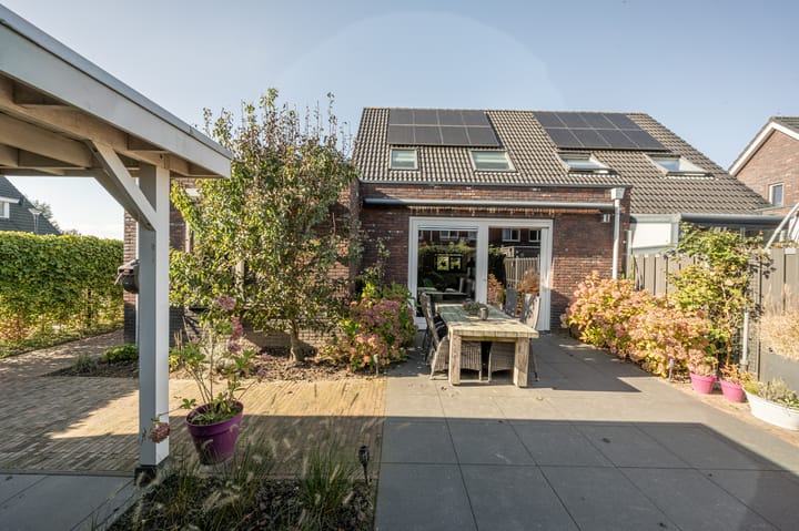 Foto 34 van Fruitdoel 11