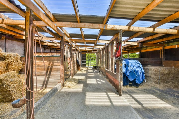 Foto 52 van Oosterblokker 127