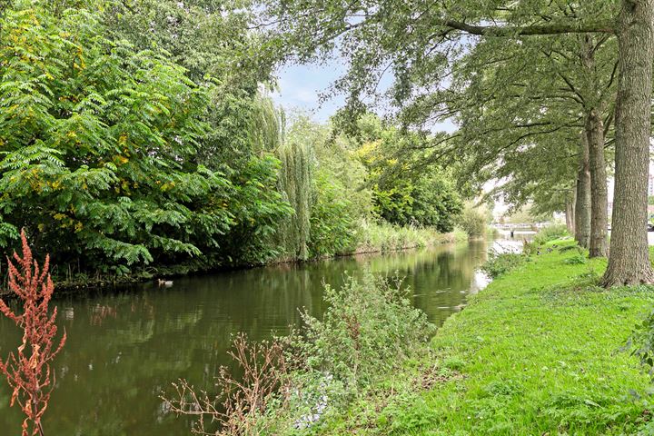 Bekijk foto 32 van Albert Cuypstraat 66