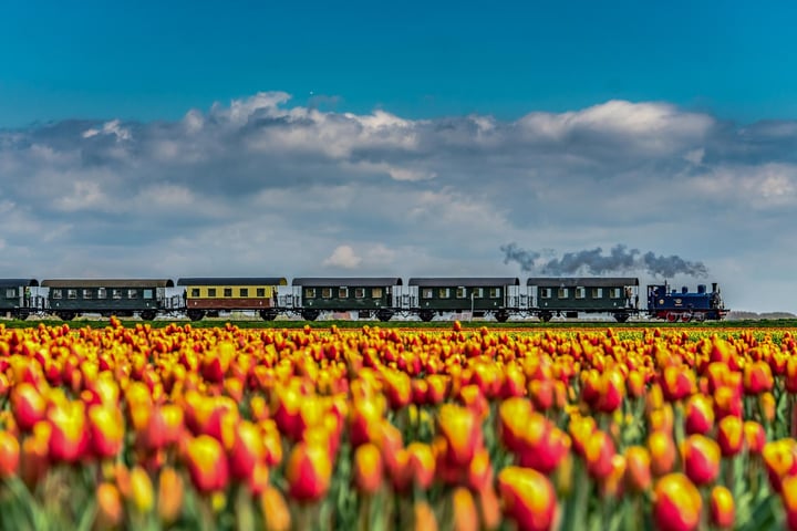 Bekijk foto 14 van Almereweg (Regthuys)