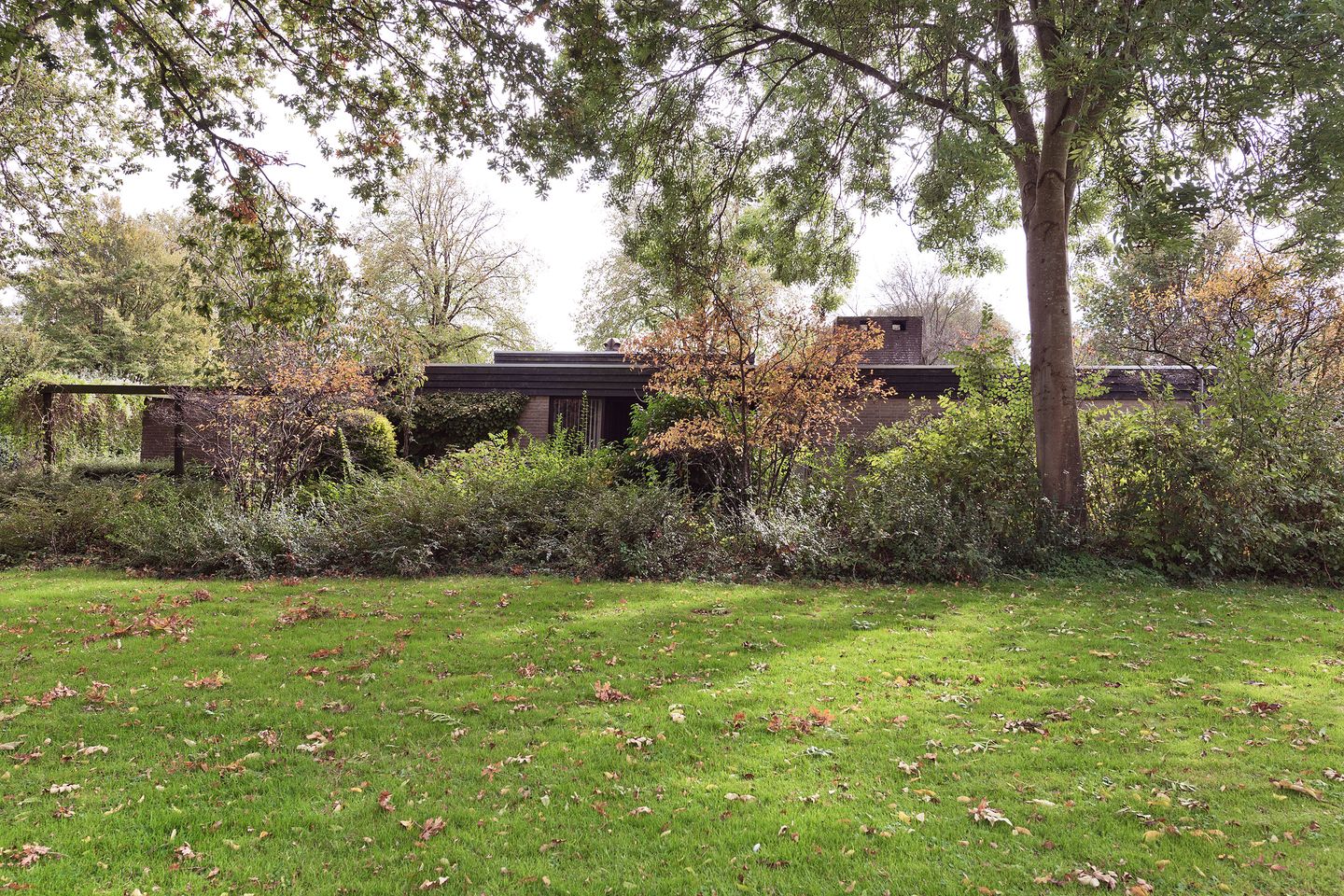 Foto 4 van De Muzen 8