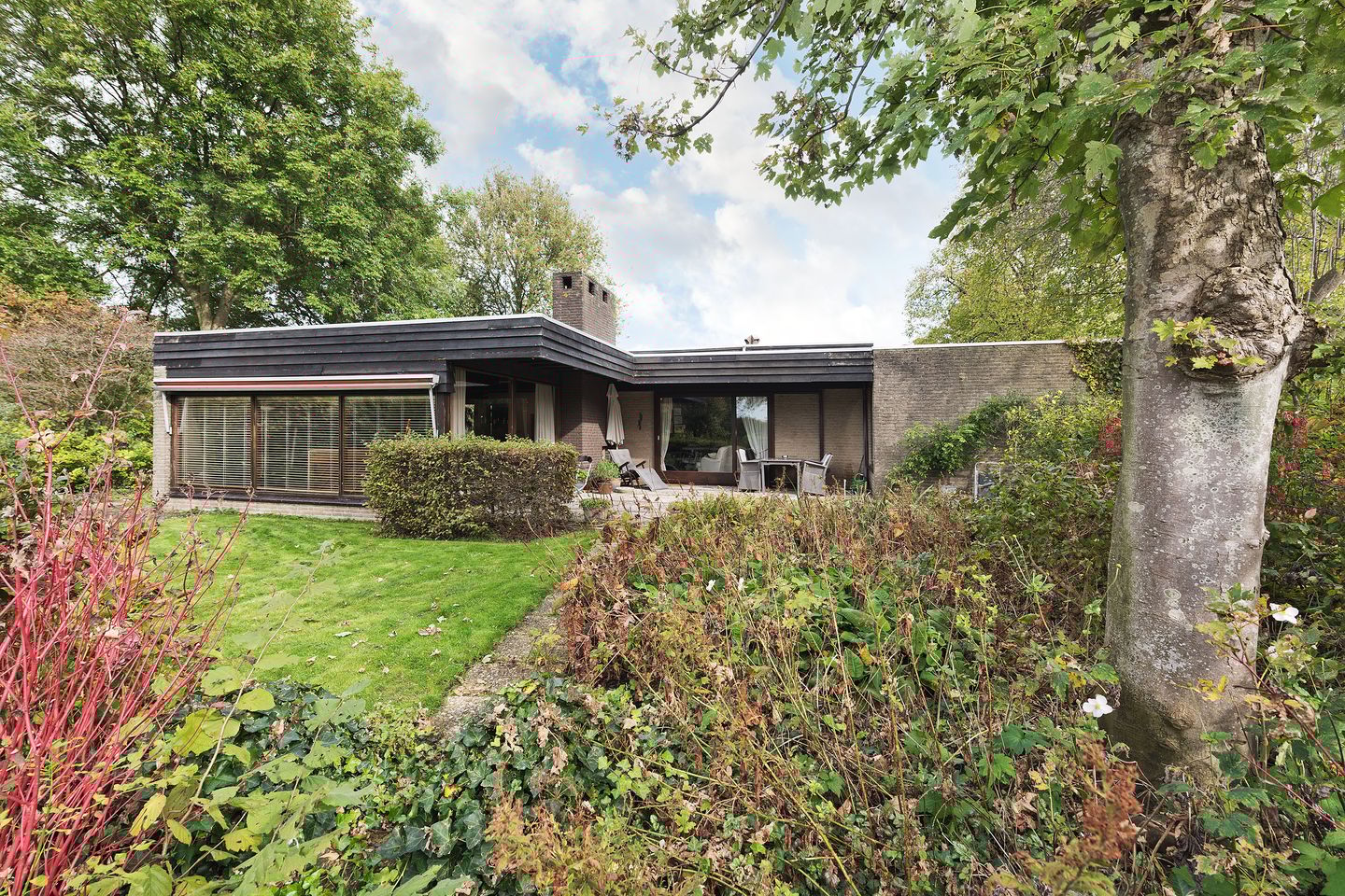 Foto 5 van De Muzen 8