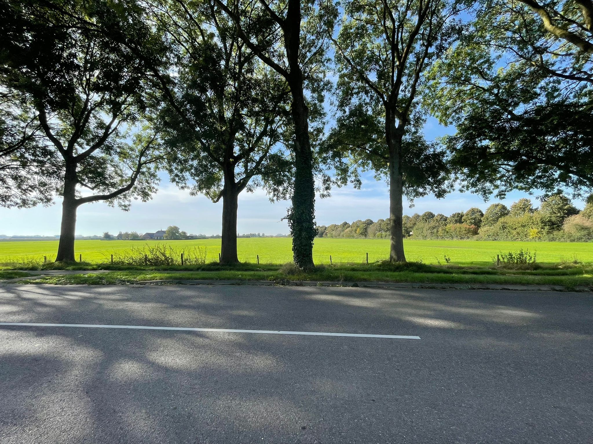 Foto 33 van Groenewoudseweg 1-04