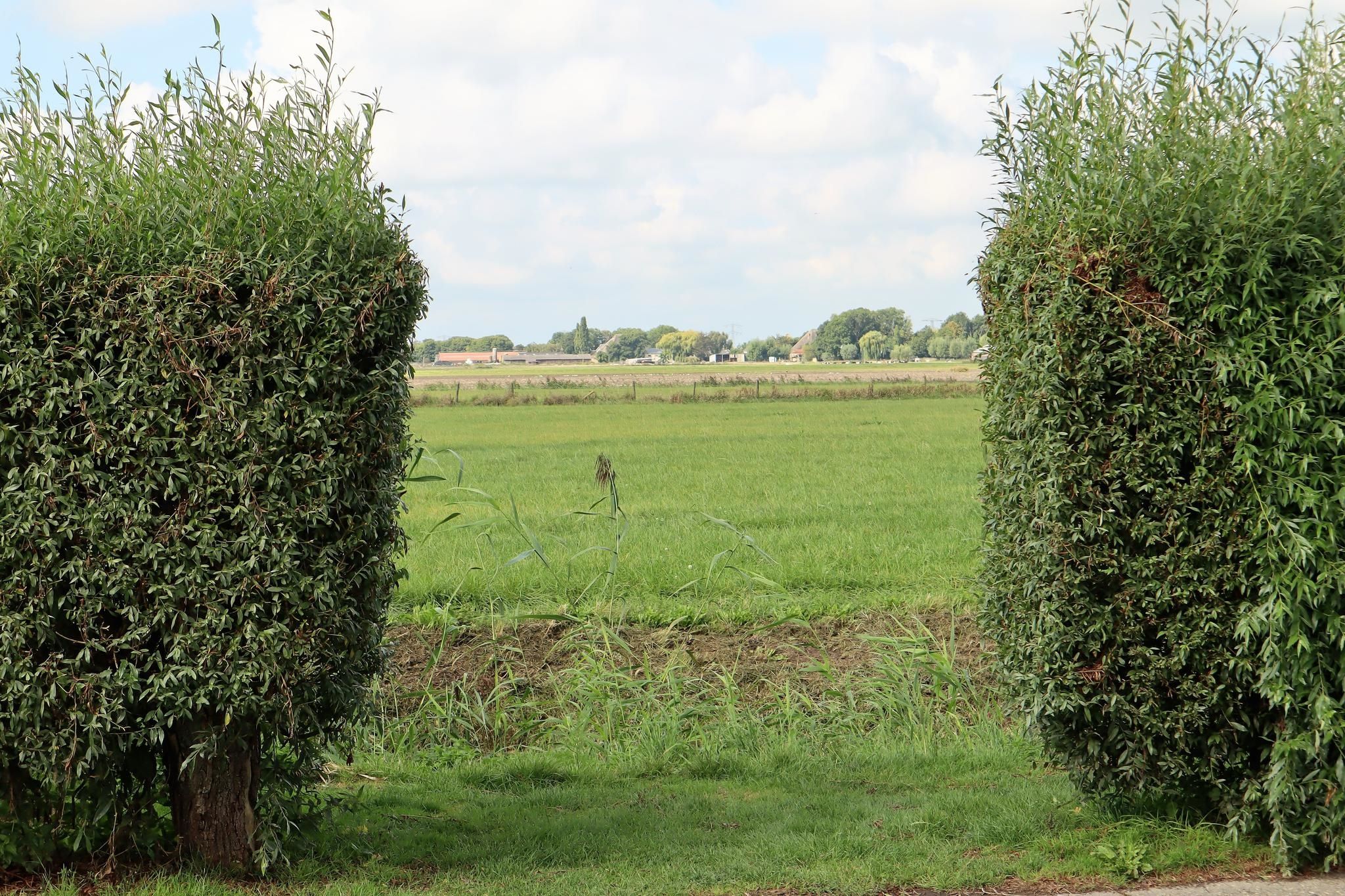 Foto 21 van Lijsbeth Tijsweg 7-71