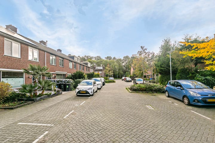 Foto 5 van Dennekruid 208