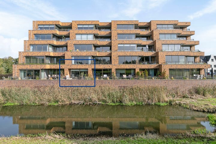 Foto 2 van Pijlkruid 4