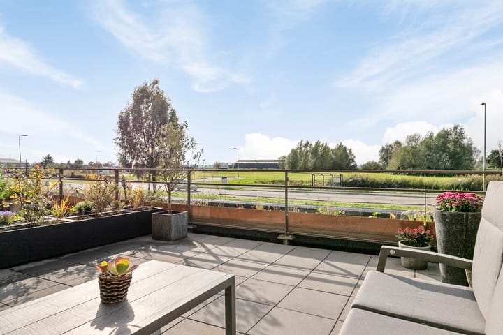 Foto 3 van Pijlkruid 4