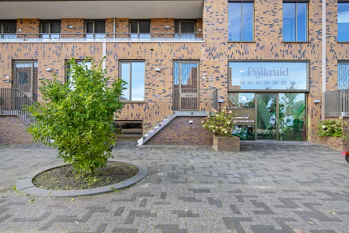 Foto 4 van Pijlkruid 4