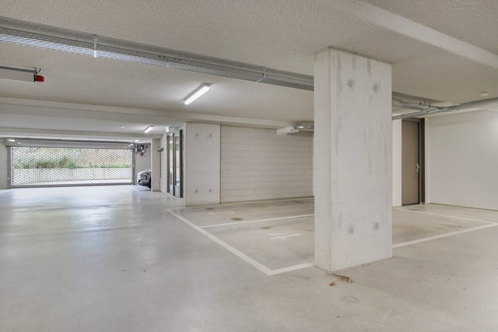 Foto 24 van Pijlkruid 4