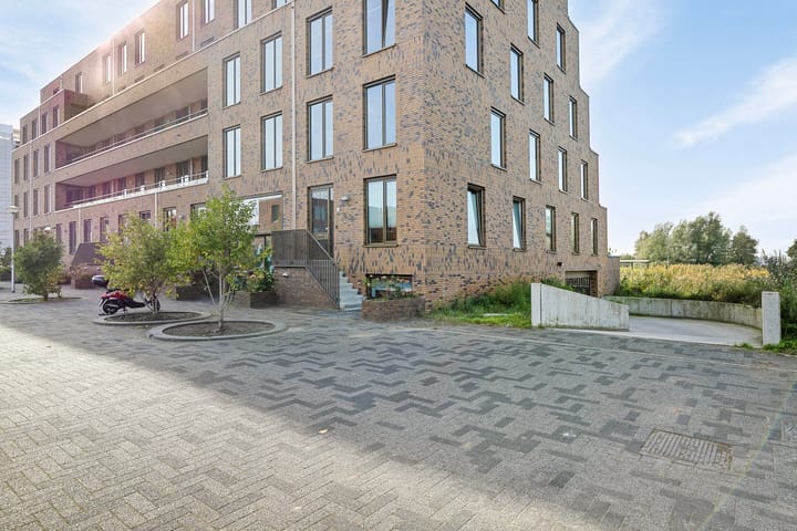 Foto 25 van Pijlkruid 4