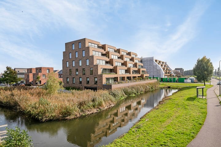 Foto 27 van Pijlkruid 4