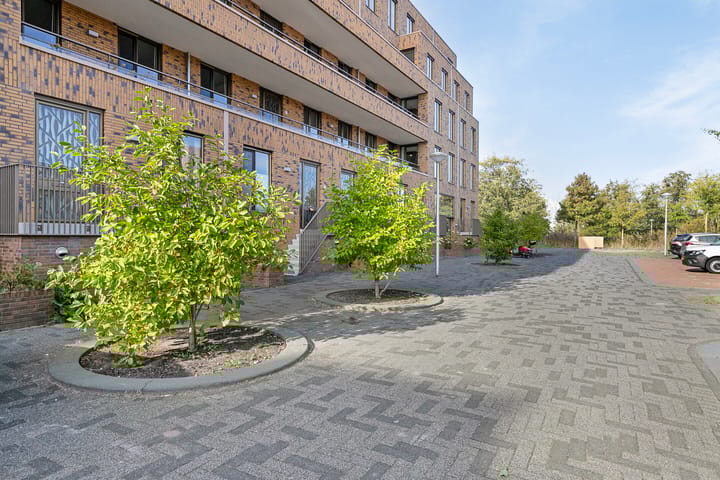 Foto 28 van Pijlkruid 4