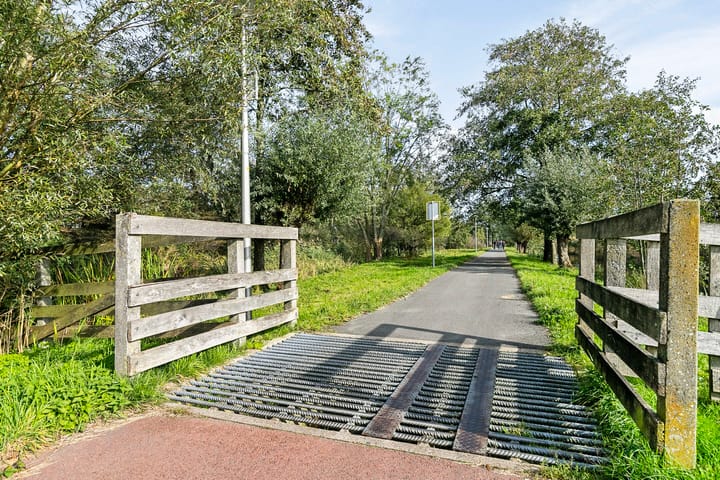 Foto 29 van Pijlkruid 4