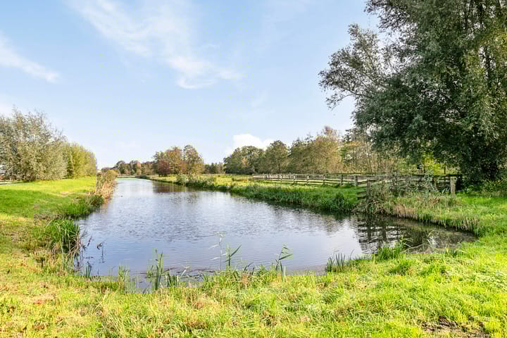 Foto 30 van Pijlkruid 4