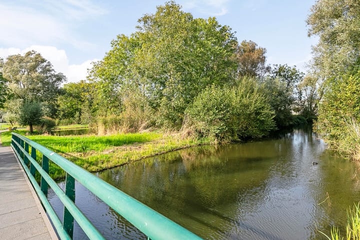 Foto 31 van Pijlkruid 4