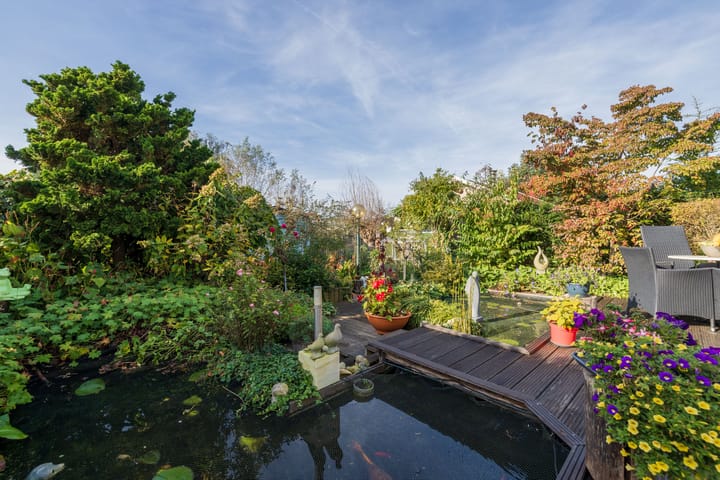 Foto 4 van Rietkraag 79