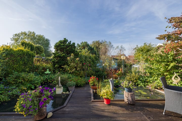 Foto 54 van Rietkraag 79