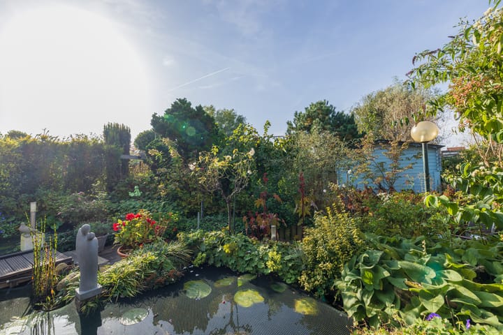 Foto 56 van Rietkraag 79