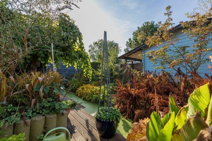 Foto 59 van Rietkraag 79