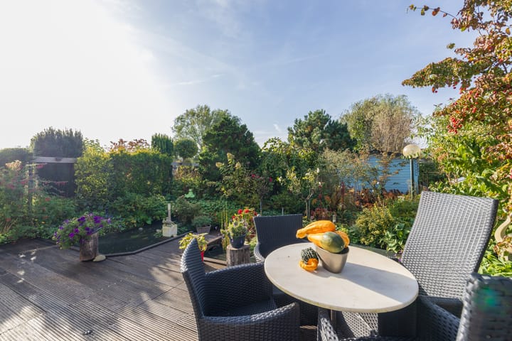 Foto 60 van Rietkraag 79