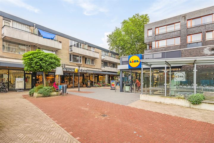 Bekijk foto 43 van Wijngaardplein 33