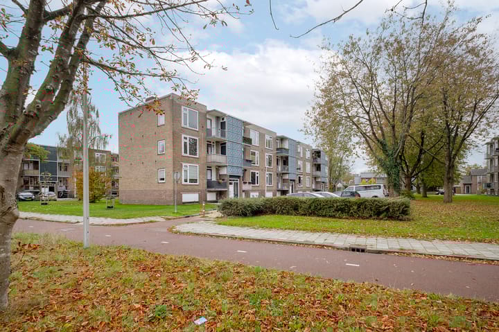 Foto 22 van Gerard Doustraat 37