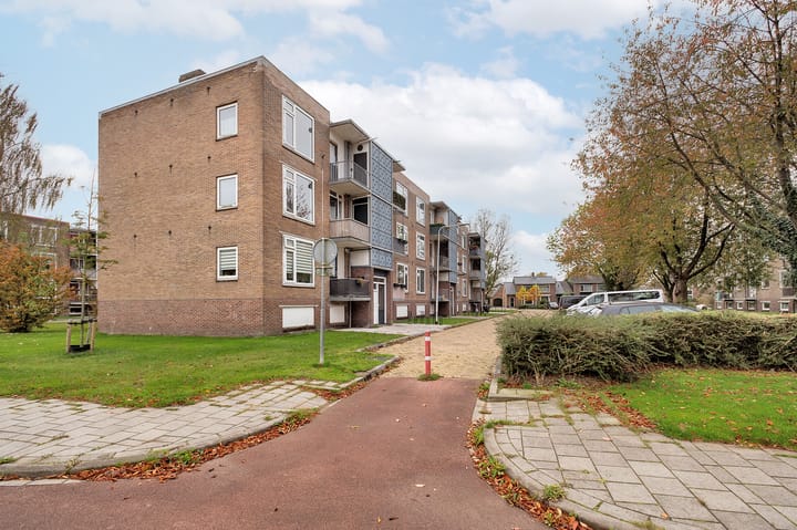 Foto 23 van Gerard Doustraat 37