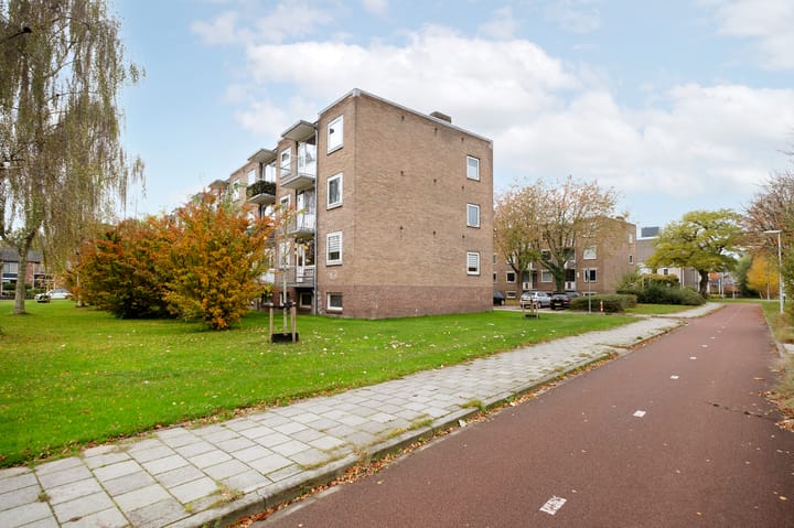 Foto 24 van Gerard Doustraat 37