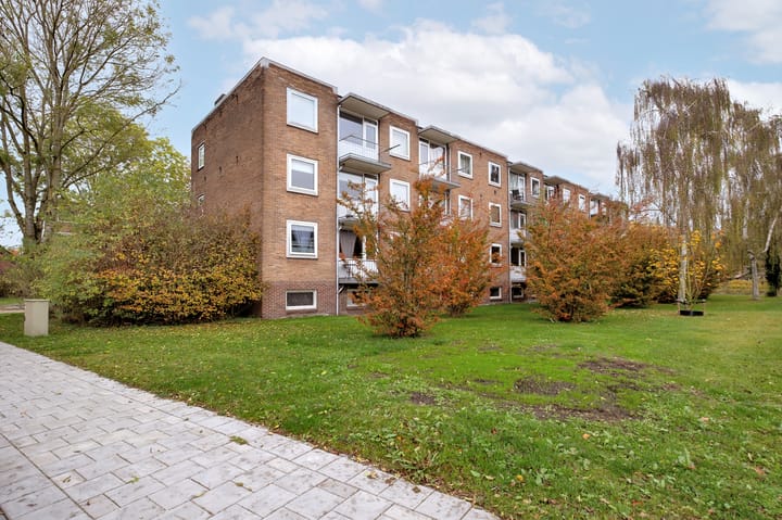 Foto 25 van Gerard Doustraat 37