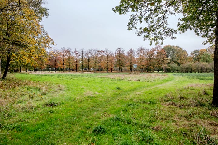 Foto 28 van Gerard Doustraat 37