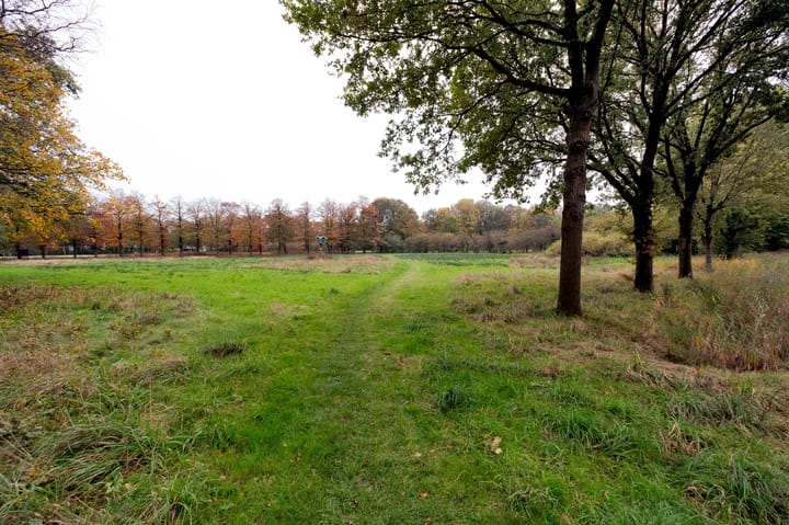 Foto 29 van Gerard Doustraat 37