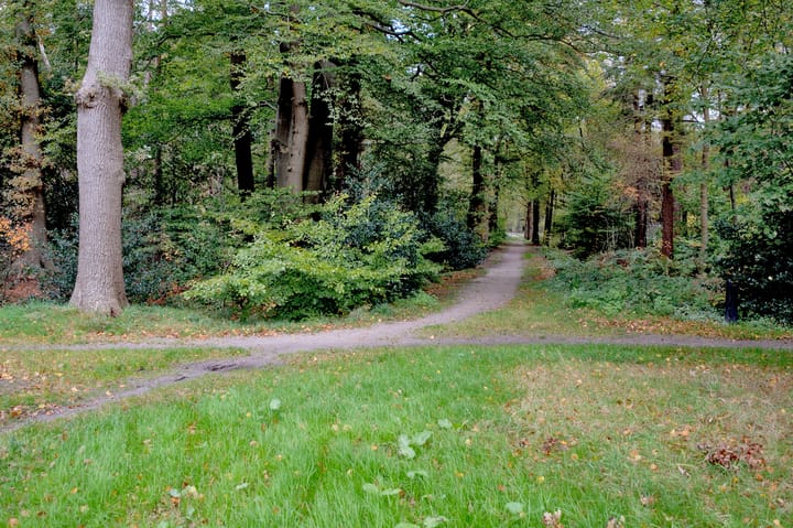 Foto 30 van Gerard Doustraat 37