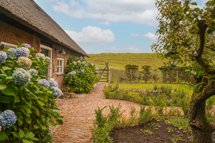 Foto 2 van Blankertseweg 17