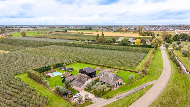 Foto 59 van Blankertseweg 17